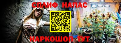индика Ленинск-Кузнецкий
